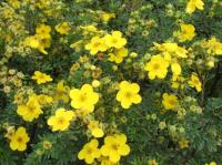 3d69066f-a340-11eb-93b3-005056c00008-1