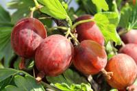 5f56caa4-cc22-11ef-8915-246e9611e8f5-1