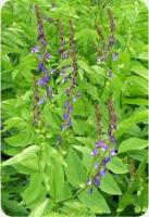 1d6ea14a-cefa-11e5-91cd-001e673ebdea-1