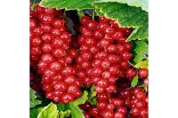 9213c5ab-1b7f-11f0-8918-246e9611e8f6-1