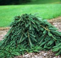 2f8b2bba-d11d-11f0-891e-246e9611e8f6-1