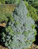 6496b85e-e692-11ee-890a-246e9611e8f5-1