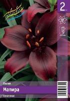 ee072f8e-cdb0-11f0-891e-246e9611e8f6-1