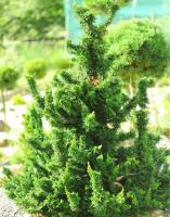 671d9417-c366-11ef-8915-246e9611e8f5-1