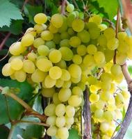 3c9734e6-b89e-11f0-891d-246e9611e8f7-1