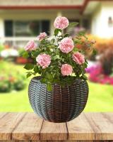 b9c90695-da79-11f0-891e-246e9611e8f6-1