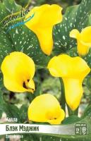 c259e962-278c-11df-882b-0019dbe91ea3-1