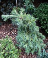 56b4b9fe-d501-11f0-891e-246e9611e8f6-1