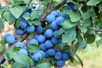 f6c603e3-347e-11f0-8918-246e9611e8f6-1