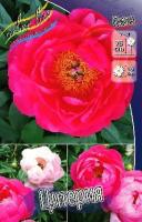 6be23af4-00c0-11f1-8924-246e9611e8f6-1