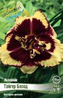 74f1c45c-1bbf-11e8-9db1-005056c00008-1