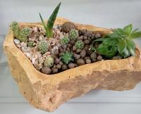 66e99e19-54a7-11ef-8910-246e9611e8f6-1