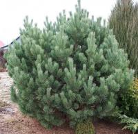 7b467d28-d76a-11f0-891e-246e9611e8f6-1