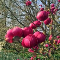 46be802a-e094-11ef-8915-246e9611e8f5-1