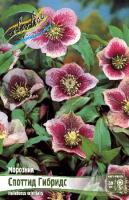 e7afc882-7be6-11ea-b7ee-005056c00008-1