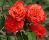 76312600-18cd-11ef-890d-246e9611e8f7-1