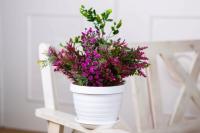 46eea8f9-5661-11ed-aea3-001e673ebdea-1