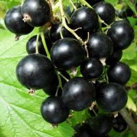 40204f32-d867-11ed-97e3-001e673ebdea-1