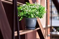 69d02211-580a-11ed-aea3-001e673ebdea-1