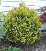 6189a982-dcd9-11ed-97e3-001e673ebdea-1