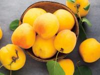 d94bdc67-c9c6-11ef-8915-246e9611e8f5-1