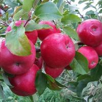 84d84d4e-cc0e-11ef-8915-246e9611e8f5-1