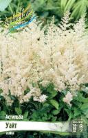 cc57aeae-dfd9-11ef-8915-246e9611e8f5-1