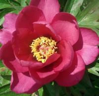 0cdabe61-fffe-11f0-8924-246e9611e8f6-1