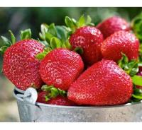 42c4de72-1dee-11f1-8926-246e9611e8f6-1