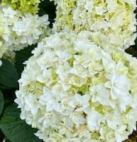 6e37592b-ce8e-11f0-891e-246e9611e8f6-1