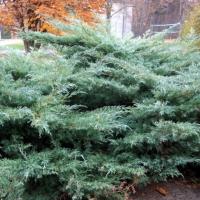 d5f1132d-dcf5-11ed-97e3-001e673ebdea-1