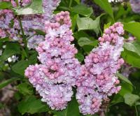 5f3deb65-2c3e-11f1-8926-246e9611e8f6-1