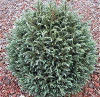 eddc72f1-cf9c-11e4-9bdf-001e673ebdea-1