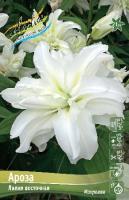 5407082f-b391-11ee-8bd7-001e673ebdea-1