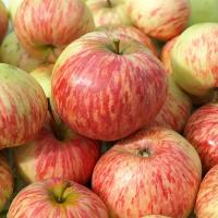 d35e8756-cc02-11ef-8915-246e9611e8f5-1