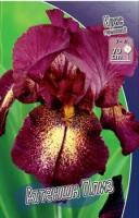 a657959e-45c9-11f0-8919-246e9611e8f7-1