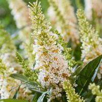 e8dc4e81-d01b-11f0-891e-246e9611e8f6-1