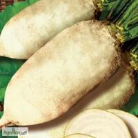 80d561ae-d454-11e4-9d35-001e673ebdea-1