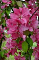 320a9bc8-2fe2-11f0-8918-246e9611e8f6-1