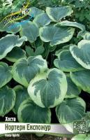 bf83b65d-1bd1-11e8-9db1-005056c00008-1