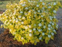 6a3e1f24-26e6-11ee-a711-001e673ebdea-1