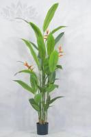 af0c8237-f2a7-11ef-8915-246e9611e8f5-1