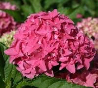 42f36c38-55ad-11f1-892a-246e9611e8f6-1