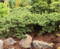 893ee048-d4f6-11f0-891e-246e9611e8f6-1