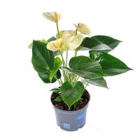 0d3c4940-d224-11ee-890a-246e9611e8f5-1