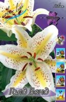 6d8507b1-b38d-11ee-8bd7-001e673ebdea-1