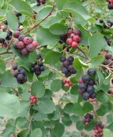 a9fce5fa-d329-11ef-8915-246e9611e8f5-1