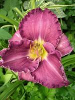 0b5db1d8-000d-11f0-8915-246e9611e8f5-1