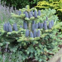 2f1e3c0c-e5dd-11ee-890a-246e9611e8f5-1