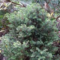 922f7ca1-d7e7-11f0-891e-246e9611e8f6-1